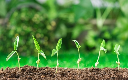 1645501732415018.png image.png