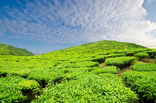 1646637286115365.jpg 0b11a6c433210069d10f38eecbb1a4a6_31399463_182620718120_2.jpg