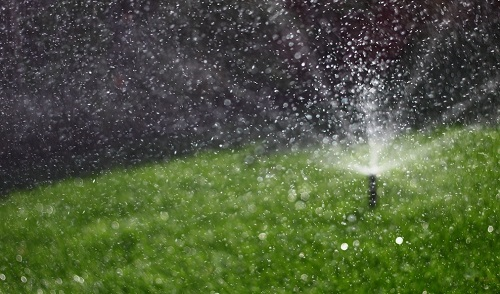 1648103630812437.png image.png