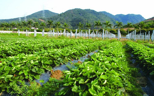 1649831294274592.jpg b867952567f5169604e940967dc104a7_4957779_154629629112_2.jpg