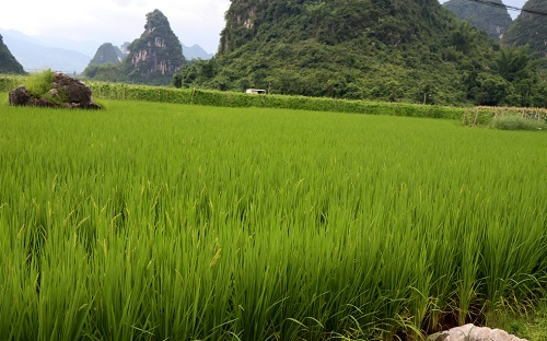 1657248132180470.png image.png