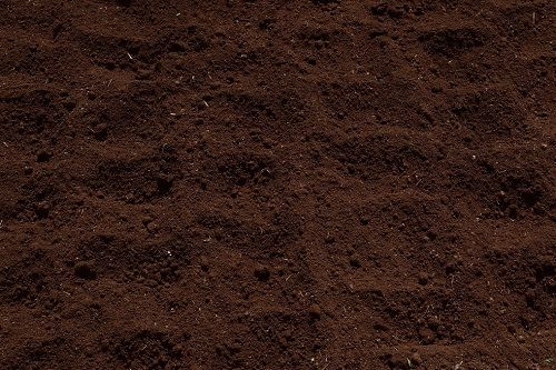 1658805913784784.png image.png