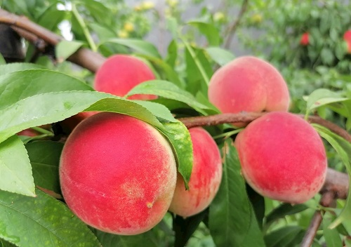 1659583097202317.png image.png