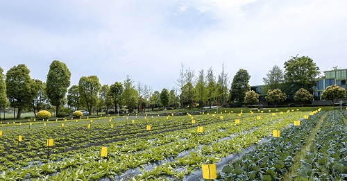 1660792186509872.png image.png