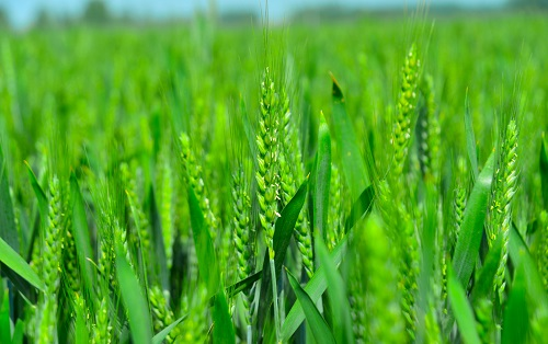 1661482815934801.png image.png