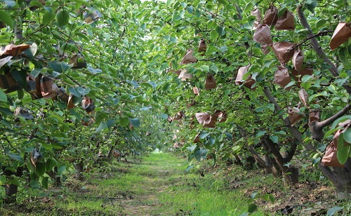 1665555049191979.png image.png