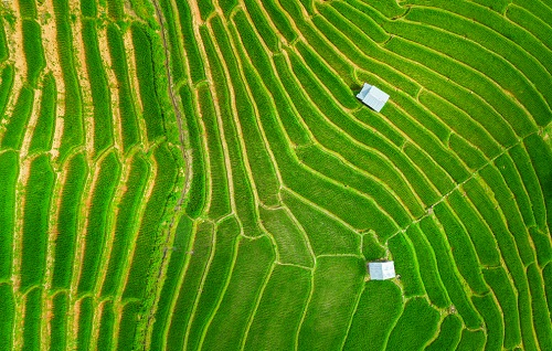 1666160735914577.png image.png