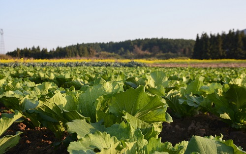 1666245937156912.png image.png