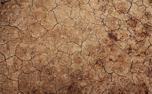 1666839192817826.png image.png