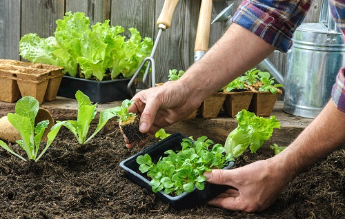 1667188477131982.png image.png