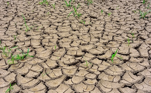 1667804937189318.png image.png