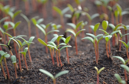 1669876798921376.png image.png