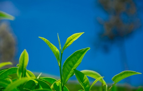 1672985660157078.png image.png