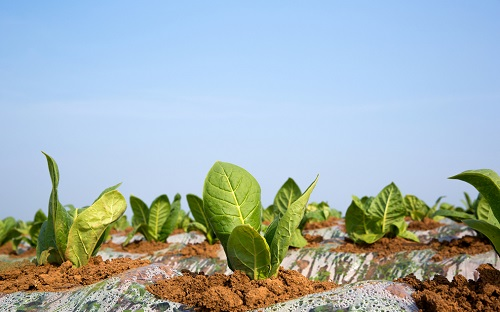 1673936596209749.png image.png