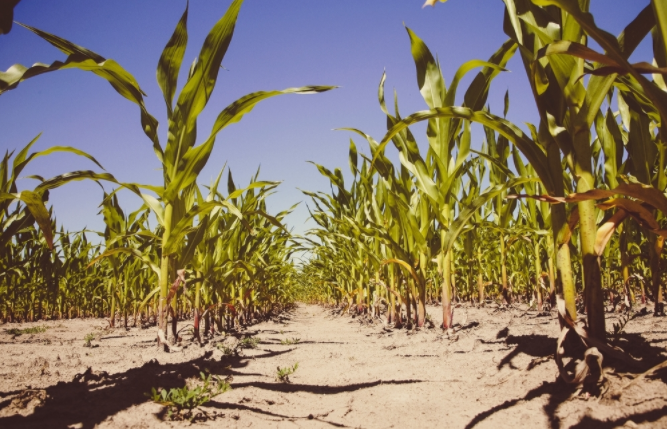 1681717177173218.png 土壤重金屬速測儀