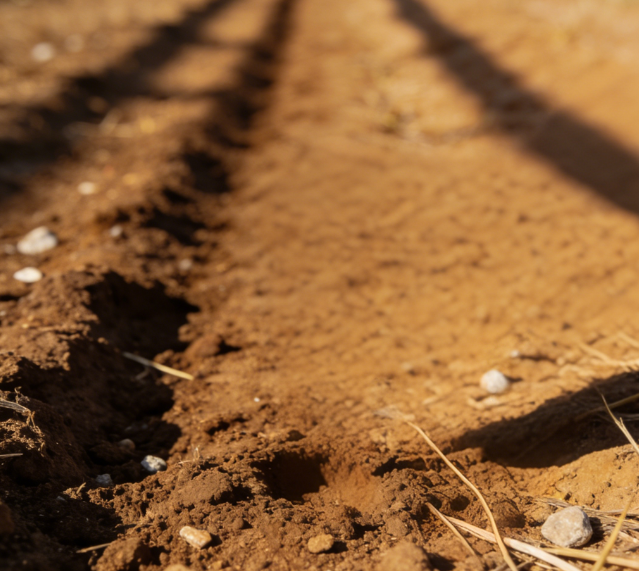 一體式土壤硬度計：快速檢測土壤緊實度的便攜利器